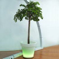 Sell 20 inch LED Flower Pot