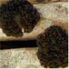 Sell Grifola Frondosa (maitake) Extract