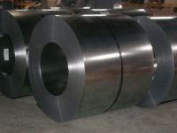 Sell galvanized steel sheet in coils
