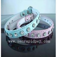 Sell Pet Collor and Leash