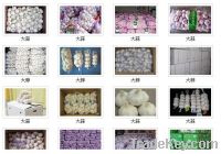 Sell fresh garlic product best quality with best price