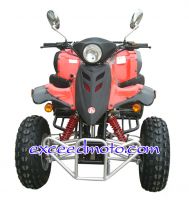 Sell 250ST Raptor ATV with EEC approval