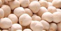 white chickpeas