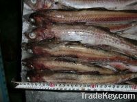 Sell ALASKA POLLOCK