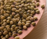Corriander Seeds (Dhania) is available in Bulk for sale