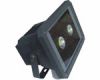 LED Flood Light PE-202 60W From Peer Lighting