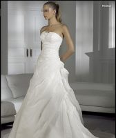 Sell designer wedding dress, accept paypal