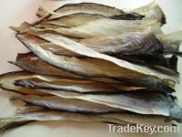 Sell Dried Fish Skin