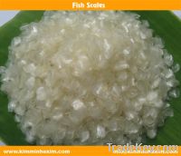 Sell Fish Scale