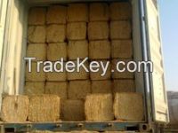 Cattle feed hay, Animal filler bale, wheat straw bale, 