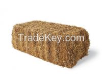 straw hay bale, animal filler straw hay, cattle feed hay