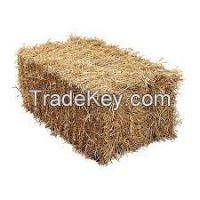 wheat straw hay, animal feeding straw hay, hay for animal, straw hay