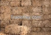 wheat hay bale, straw bale, hay for animal feeding, cattle feed bale