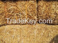 wheat straw hay, animal filler straw hay, cattle feed straw hay, straw bale
