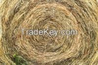 straw hay bale, animal feeding straw, cattle feed straw hay, hay for feeding