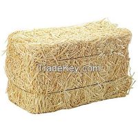wheat straw hay, animal filler straw hay, hay straw bale, wheat hay bale