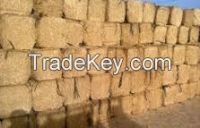 wheat straw hay bale, cattle feed straw hay bale, animal filler straw hay bale