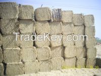 wheat straw hay, animal feeding bale, hay for animal, cattle feed straw bale