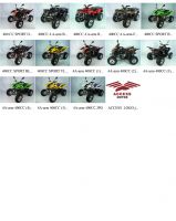 Access Motor 400 cc Spor & Utility 4A-arm Range Catalogue