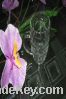 Sell Water glass cup