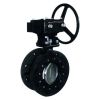 High Performance Double-Flange Butterfly Valve