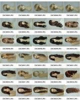 Sell full synthetic wigs, human hair extensions, lace front wig
