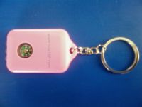 Sell  Solar Keychains with Flashing Images, Flashlights and Compass