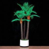 Sell LED coconut palm tree light