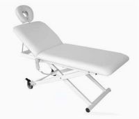 Sell professional massage table FBM-2101B