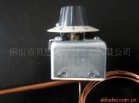 Sell Thermostat (WKG)