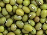 Sell Mung beans