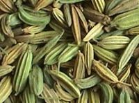 Sell Fennel seeds