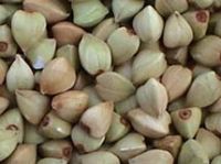 Sell Hulled Buckwheat