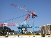 Tower Crane And All Type Crane Supplier