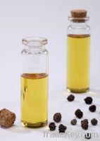 Sell Schisandra fruit oil