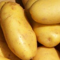 Sell fresh potatoes