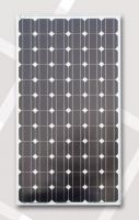 Sell CEEG competitive solar panel