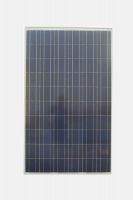 Solar poly PV Module supplying