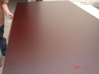 Sell  film faced plywood 18mm