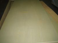 Sell Birch Plywood