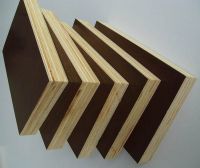 Sell Film Faced Plywood