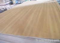 Sell poplar commercial plywood