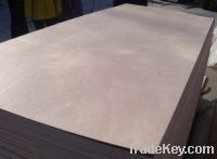 Sell commercial birch plywood