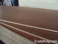 Sell plywood for packing/construction/furniture