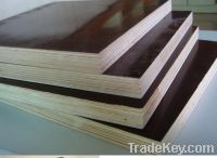 Sell formwork sheet plywood