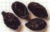 Calladan Ltd. sells dried plums (prunes) at attractive price