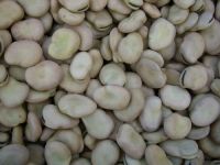 Sell broad beans