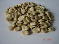 Sell broad beans of 2008 crop