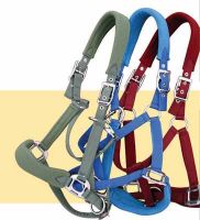 horse halter, bridle, headstall, tack, horse harness, saddlery KUD30D48_1