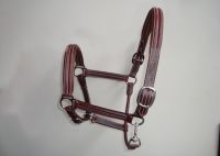 Sell Leather Horse Halter